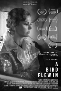 Залётная птица (фильм 2021)